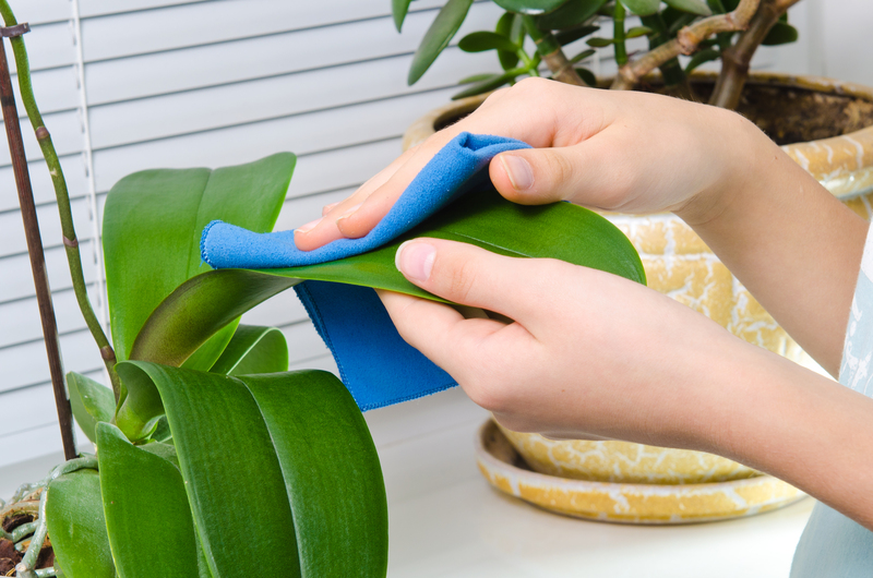 house cleaning Regular cleaning
