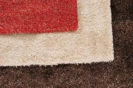 Professional Carpet Cleaning In Kingston Upon Thames Explained